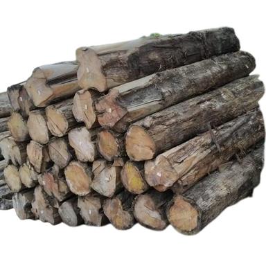 Round Shape Solid Teak Wood Logs For Furniture Manufacturing