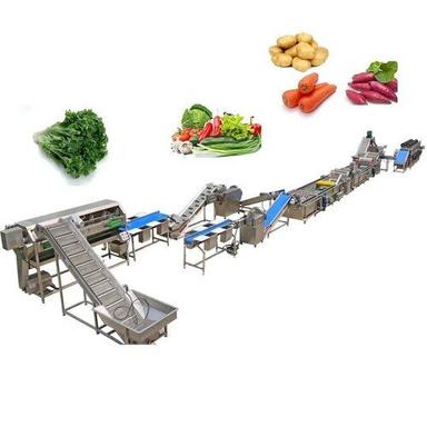 Stainless Steel Vegetable Processing Line