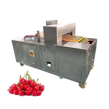 CL-I CE Stainless Steel Prunes Apricots Pitter Destoner Machine