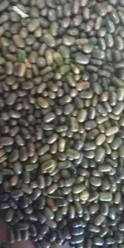 Top Grade Clean Dhaincha Seed