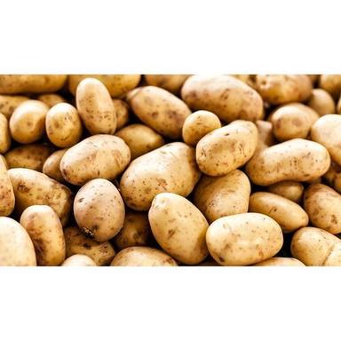 High In Potassium And Fiber Victuals Fresh Potato Moisture (%): 63