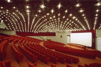 Auditorium LED Ceiling Light