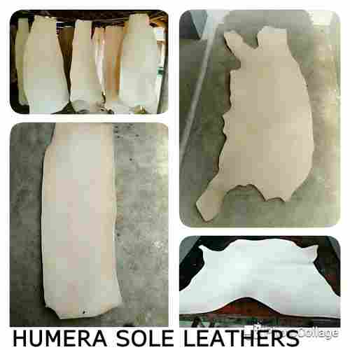 Vegetable Tanned Sole Leathers