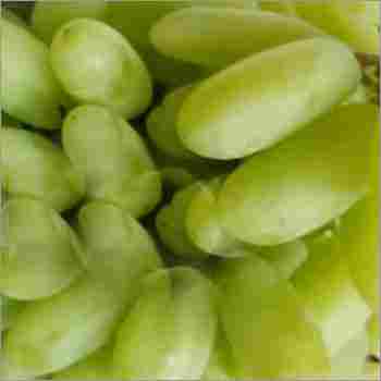 Sonaka Seedless Grapes