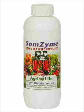 Som Zyne - Liquid sea weed Fertilizer