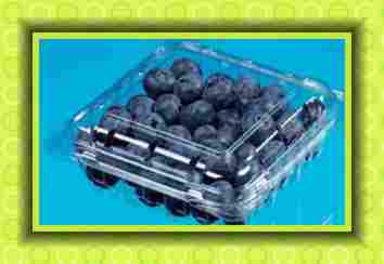 Blueberries Box
