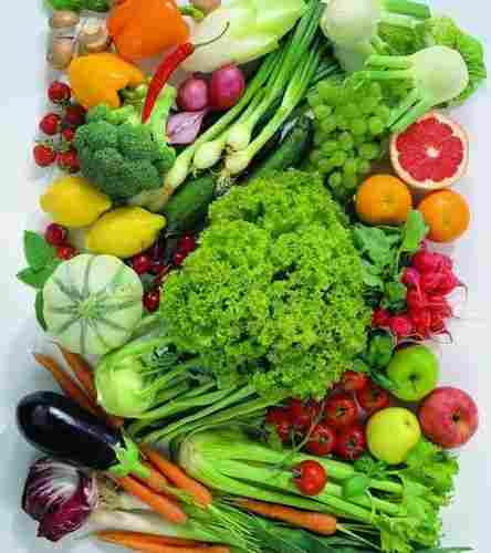 Top Quality Fresh Vegetables