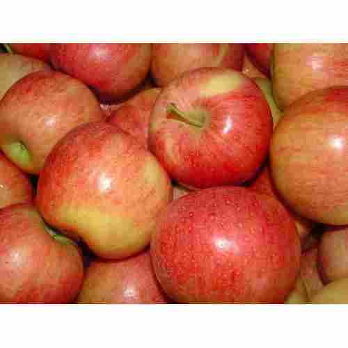 Healthy Natural Red Apple