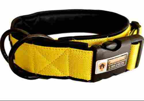 Smart Dog Collar Belt 