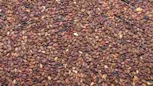 Dried Brown Sesame Seed