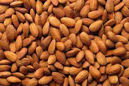 Highly Nutritious Almond Nut