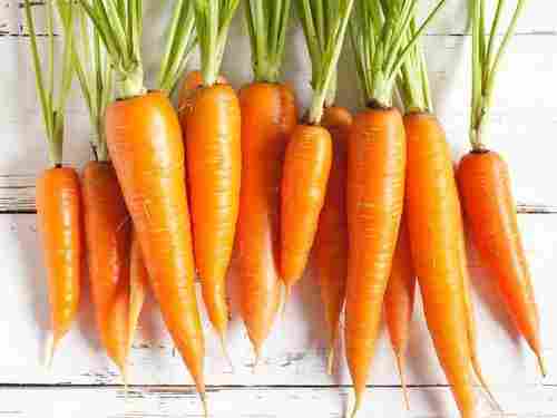Healthy and Natural Fresh Carrot