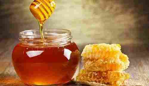 Honey Testing Services