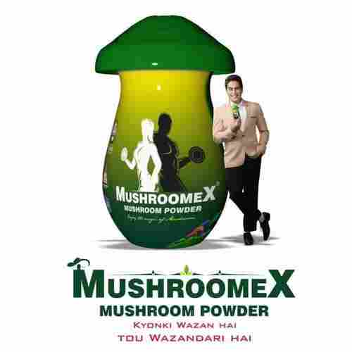Packed Mushroom Powder 100 gm