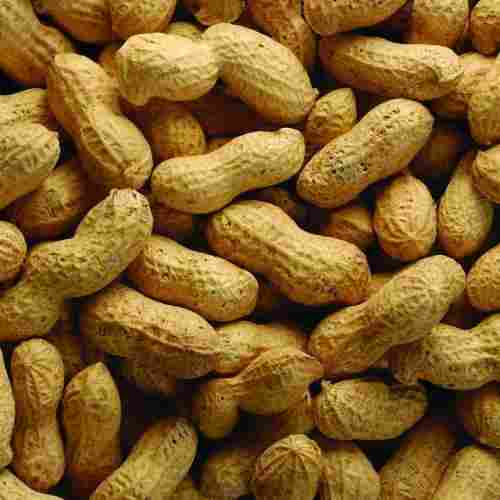 Dietary Fiber, High In Protein Raw Shelled Peanuts With Good Quality