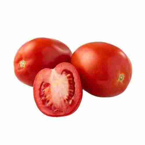 100 Percent A Grade Hybrid Fresh And Organic Red Tomato
