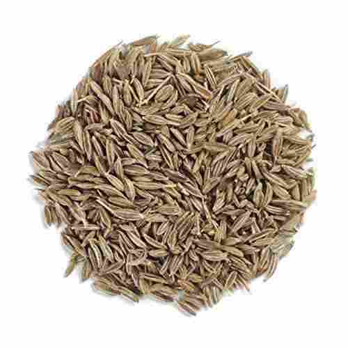 Pure and Dried Cumin Seed With 6 Months Shelf Life and Antioxidants Properties