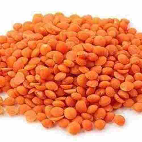 99% Natural And Pure Dried And Cleaned Organic Red Masoor Dal