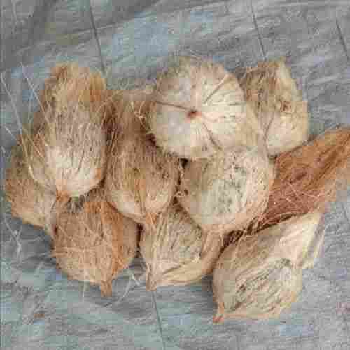  कच्चा प्राकृतिक रूप से उगाया जाने वाला स्वस्थ सेमी हस्केड फार्म फ्रेश ब्राउन नारियल