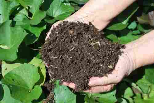 25 Kg Bag Powder Home Garden Organic Fertilizer, For Agriculture, Target Crops: Vegetables