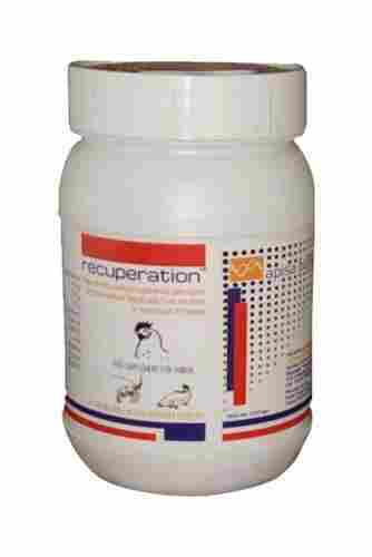 Recuperation Animal Feed Supplement