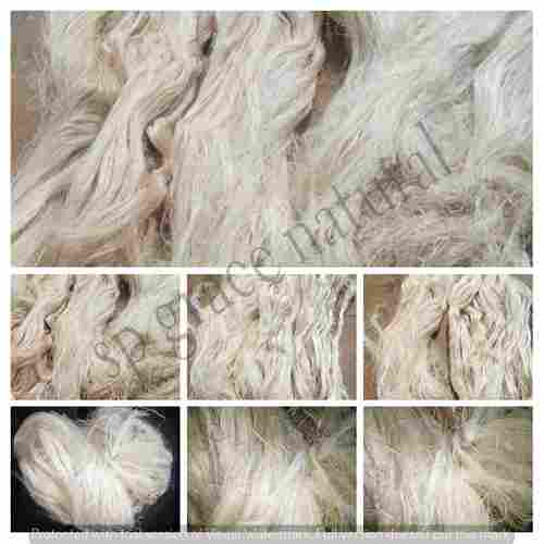 Banana Fibre at Best Price in Erode, Tamil Nadu Banana Fibres