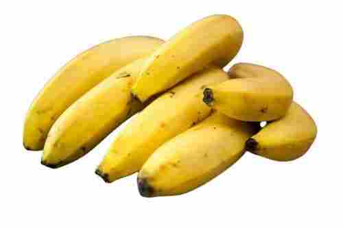 Thick And Rigid Relish Soft, Buttery Texture Sweet Fresh Banana 