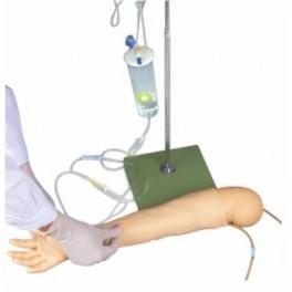 Skin Child  Arm Model