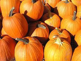 Freeze Dried Pumpkin Powder