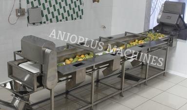 Belt inspection conveyor