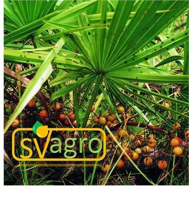 Saw Palmetto Grade: Food