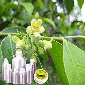 Agarwood Attar