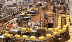 Metal Industrial Automation Systems
