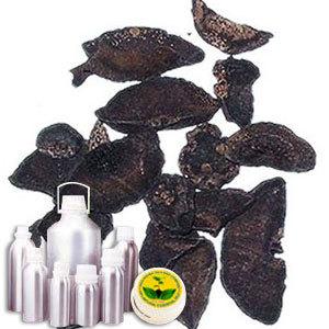 Nakh Choya Attar