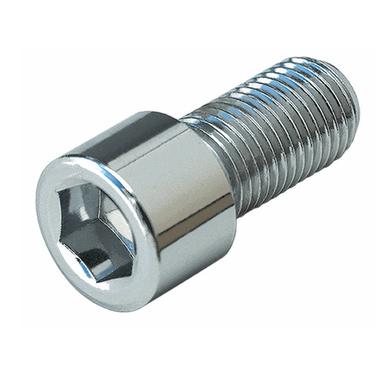 SS LN Cap Bolt