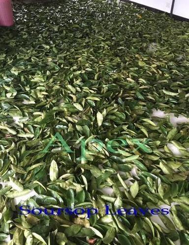 Annona Muricata Shelf Life: 12 Months