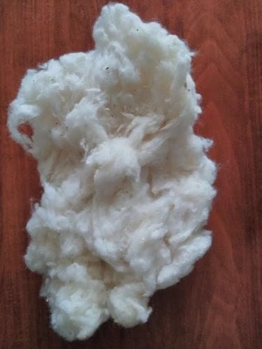 Raw Cotton Application: Textile Industry