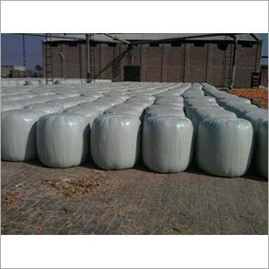 Corn Silage Efficacy: Feed Preservatives