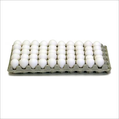 Egg Carton Tray