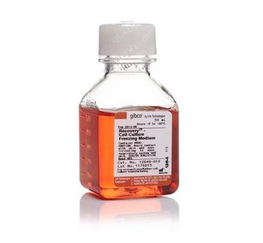 Cell Culture Freezing Medium Application: R&D