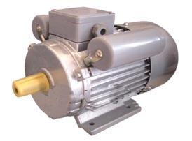 Universal motor