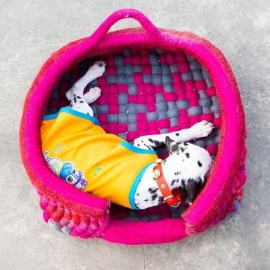 Light Weight Felt Dog Kennel