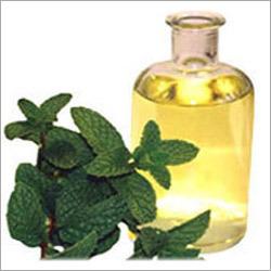 Mentha Oil