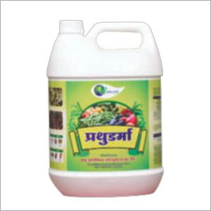 Plants Rooting Powders Application: Organic Fertilizer