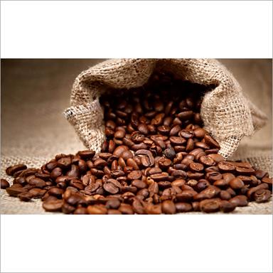 Fresh Coffee Beans