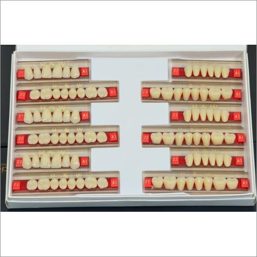 Synthetic Acrylic Teeth Set at Best Price in Roorkee Sai Decor International