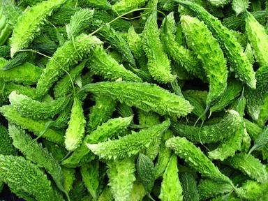 Momordica Charanitia Dry Extract