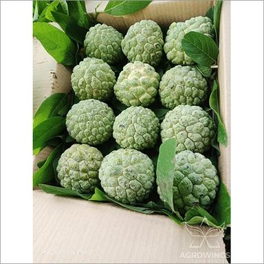 Natural Custard Apple