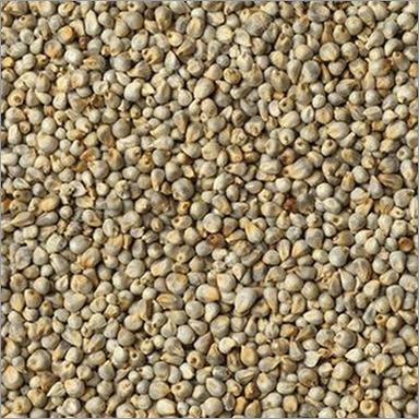 Organic Bajra Moisture (%): Nil