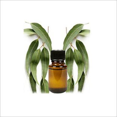Cardamom Oil Age Group: Adults